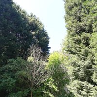 midt45 (@midta45) 's Twitter Profile