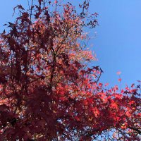 RG (@gc10112) 's Twitter Profile