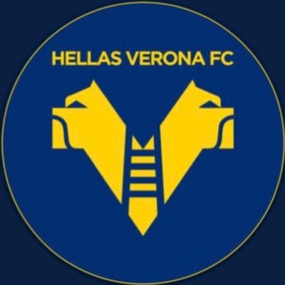 Suivez l’actualité francophone du Hellas Verona 🇫🇷🇮🇹 #HVFC #HellasVerona #Gialloblù💛💙 Campioni d’Italia 1984-1985 🏆 instagram : hellas_verona_fr