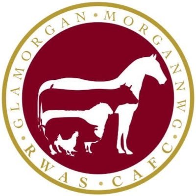 GlamorganRwas's profile picture. In 2023 Glamorgan will be Feature County for the RWAS. Please follow us to find out about events and fundraising in your area. #Glamorgan2023 #Morgannwg2023