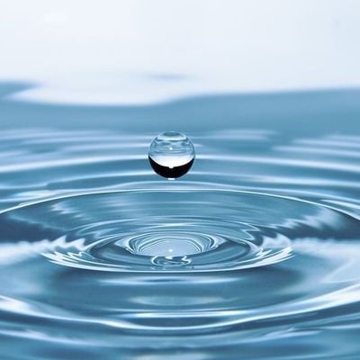 Sheylassie's profile picture. 