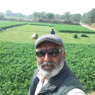 ShahzamanPandhi's profile picture. #Field_Assistant
#Agriculturist
#Nasarpurian