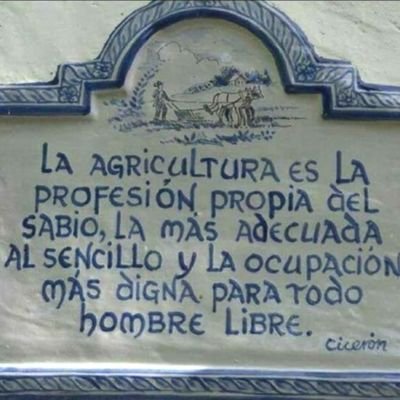 Enfermera de pediatría.
SegPac y ahora en Diabetes infantil.
Extremadura.