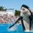 FreeWhaly🐳 avatar