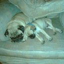 jason aaron alvin wh - @jdog311 - Twitter