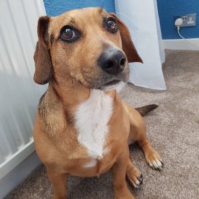 TheRanter12's profile picture. Blah blah blah