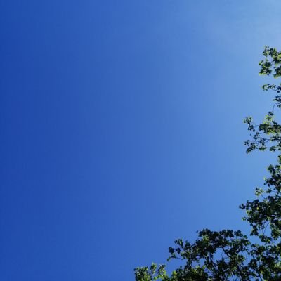 sonzaivr's profile picture. Immersive World Capture 🌳⛩🌺

Working with BeLink to create Virtual Tours for Galleries and Museums