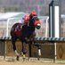 ClaudioGonzalezRacingStables (@cgracingstables) Twitter profile photo ClaudioGonzalezRacingStables (@cgracingstables) Twitter profile photo