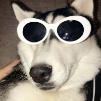 cₙ ᵢ🦋 (@iselaconi) 's Twitter Profile Photo cₙ ᵢ🦋 (@iselaconi) 's Twitter Profile Photo