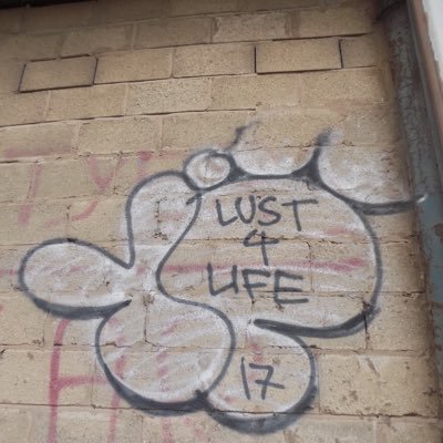 notimetowaste14's profile picture. 