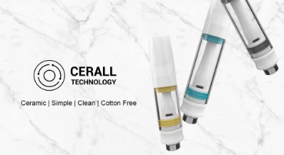 EcapTechnology's profile picture. 