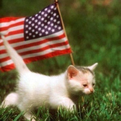 mcprn1's profile picture. Retired OR/PACU RN, Wife, Mom, Grandmother,  No DMs