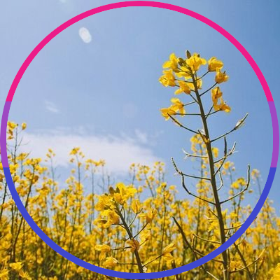 lysazapalka's profile picture. any pronouns 22 yo