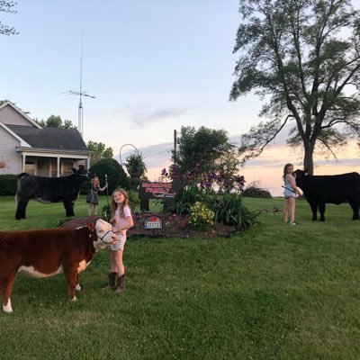 Husband to Kassie. Father to #minimcgaughs: Nora Kate, Vivian and Gemma. Mizzou (AΓΡ) & #MoLeg Alum. Find me in the show barn at McGaugh Family Show Calves.