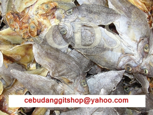 cds_danggit's profile picture. We are offering the best of Cebu's Danggit,Pusit & other Dried Fish. We offer to our customers convenience, service and peace of mind. Do check us out! :)