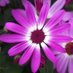 Karen Esposito (@espositoslt) Twitter profile photo Karen Esposito (@espositoslt) Twitter profile photo