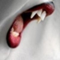 VampyrBytes (@bytesvampyr) 's Twitter Profile