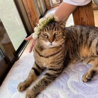 TABOniki (@dd09e73969644ac) 's Twitter Profile