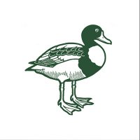 Sheldrake Press (@sheldrakepress) 's Twitter Profile
