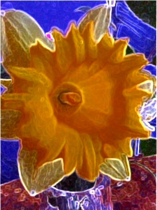 TayStratton's profile picture. Swimming Design Music Art of Life!