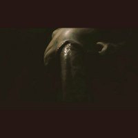 casalmarelua9 (@casalmarelua9) 's Twitter Profile