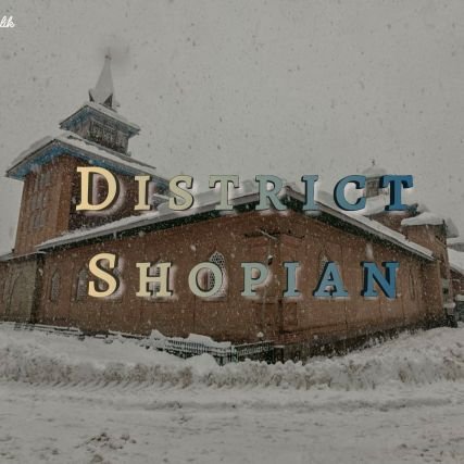 DistrictShopian Profile Picture