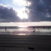 David Bryan (@davidbr14379786) 's Twitter Profile Photo