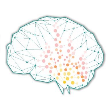 Brain Inflammation Group (BIG), University of Manchester. Researching the role inflammation plays in brain disorders, such as stroke.