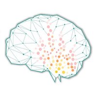 BrainInflammationGrp (@big_research) 's Twitter Profile