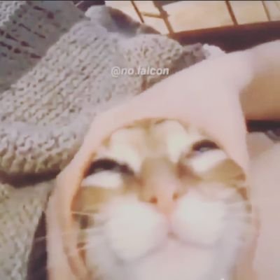 prodgHD's profile picture. welxome