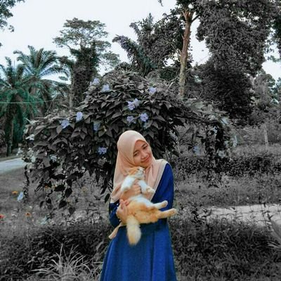 sofea_aimi's profile picture. soul full of sunshine 🌻