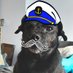 Poppy_The_Sailor_Dog (@poppy_sailor) Twitter profile photo