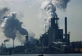 TacomaAromaWA's profile picture. 