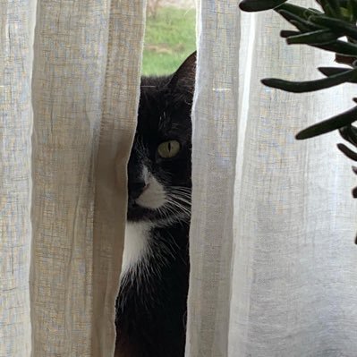 snipsnip88's profile picture. 