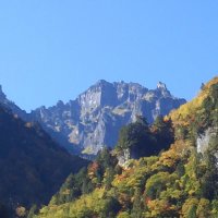ヨシリン (@fejgu1wfa9sblpl) 's Twitter Profile