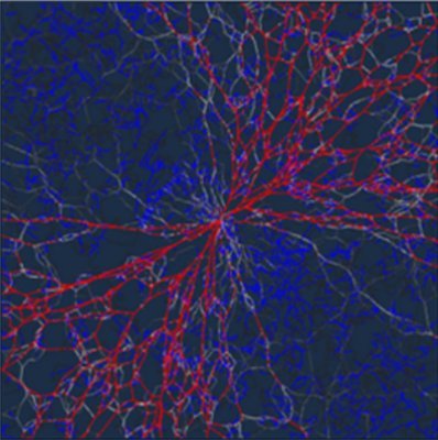 We develop theoretical concepts and computational models - mechanobiology, matrix mechanics, nano- and energy- materials. Tweets by group members. @CEMB_STC