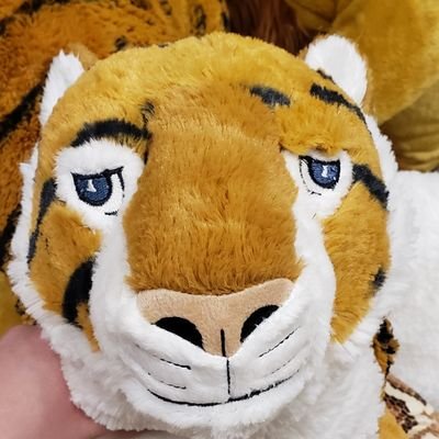 KV Hiceさんのプロフィール画像