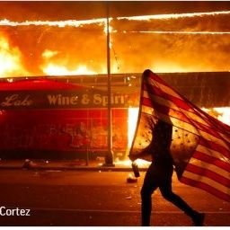 michbfitz1's profile picture. 