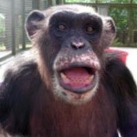 Milton Fletcher (@mfletcher530) 's Twitter Profile Photo Milton Fletcher (@mfletcher530) 's Twitter Profile Photo