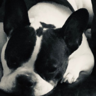 devmspe's profile picture. 