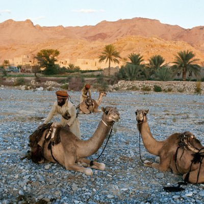 Beauty, culture, and photography of Oman.