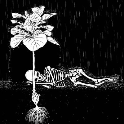 lufegafi's profile picture. 