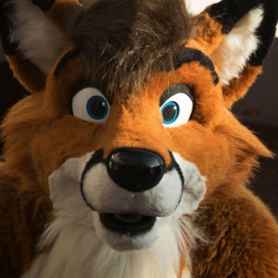 🦊 @FursuitsbyLacy | 🏳️‍🌈 | Board Gamer🎲 | Coffee Roaster