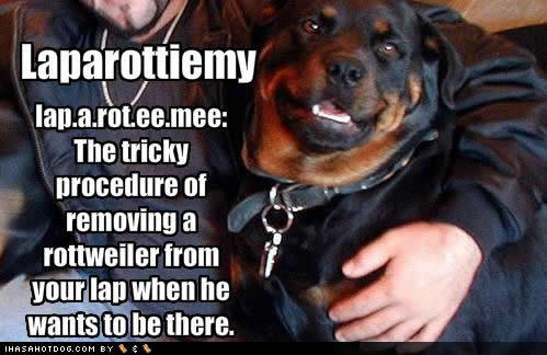 Tiaagra's profile picture. You can have everything in life you want, if you will just help enough other people get what they want. - Zig Ziglar