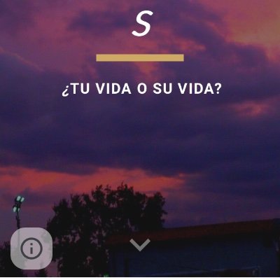 Sitioweb3's profile picture. somos...
Personas decididas a dar a conocer atraves de esta pagina web lo que realmente nos ocultan los influencers su vida y como pueden afectar la vida