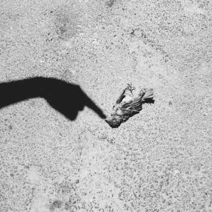 Ksel79910719's profile picture. Pf.