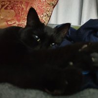 C Roll40 (@c_roll40) 's Twitter Profile