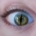 staring_elf (@mellamanras) Twitter profile photo staring_elf (@mellamanras) Twitter profile photo