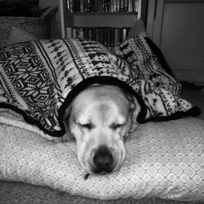 LolaCla61360257's profile picture. 