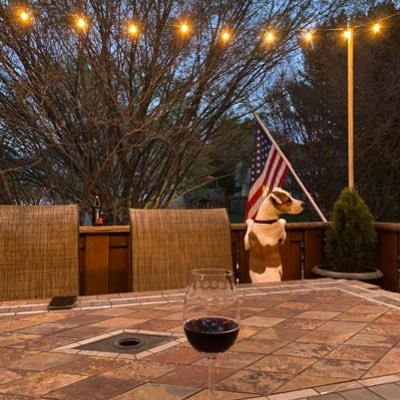 rach65102016's profile picture. 